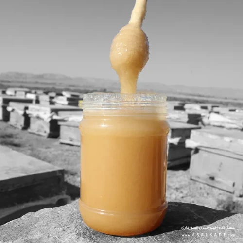 عسل رویال تقویتی ارگانیک 100 گرمی